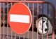 Restricții de circulație pe șoseaua ocolitoare