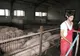 "Tânăr român, fermier european!". Concurs cu premii pentru tinerii fermieri