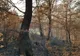 A incendiat  casa în care locuia cu chirie