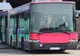 De Anul Nou, se modifică mersul autobuzelor. Vezi cum vor circula, în Zalău, mijloacele de transport în comun