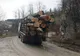 Pădurar din Sălaj, amendat cu 10.000 de lei