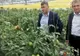 Secretarul de stat în Ministerul Agriculturii s-a întâlnit cu producătorii de tomate din Sălaj