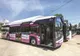 Din fonduri europene, 20 de autobuze electrice pentru Zalău