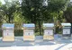 Platforme subterane de colectare a gunoiului în cinci puncte din municipiu