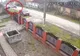 FOTO/VIDEO: Câine, călcat intenționat cu mașina de un șofer, în județul Sălaj