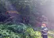 FOTO: Sălăjean, aflat în cabina unui utilaj forestier, strivit de un copac