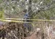 Tragedie într-o pădure din Sălaj! Un bărbat a murit după ce o creangă i-a căzut în cap