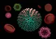 Bilanț coronavirus 17 ianuarie: 8.118 cazuri noi și 17 decese