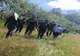 Bătrân dat dispărut după ce a plecat la cules de ciuperci! A fost găsit a doua zi (FOTO)