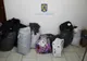 Bărbat din Zalău prins în Cluj cu haine şi parfumuri contrafăcute (FOTO)