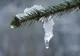 Prognoza meteo 4 săptămâni. Iarnă atipică în România - Când va fi zăpadă, în luna februarie