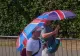 Marea Britanie, lovită de un nou val de căldură: alerte în Anglia și maxime de 36°C