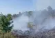 Alertă în Caraș-Severin: incendiile de vegetație se extind, zeci de pompieri și silvicultori se luptă cu flăcările - VIDEO
